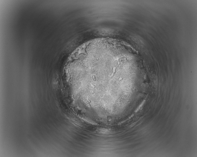 X0000073520507200608281737