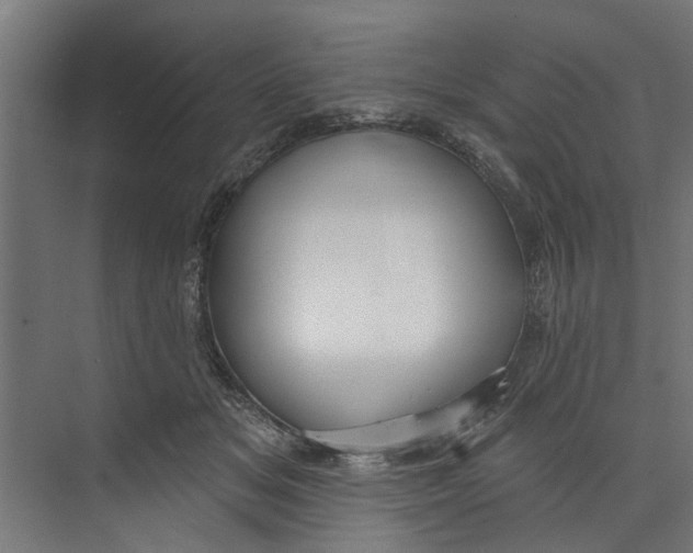 X0000073520509200608281736