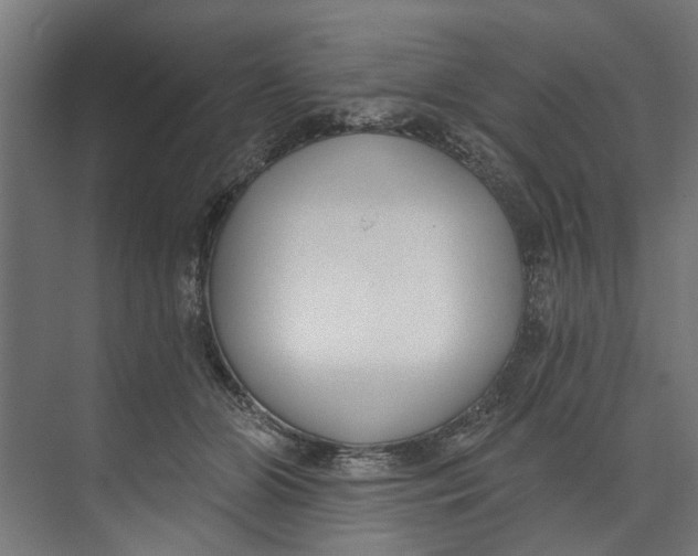 X0000073520510200608281736