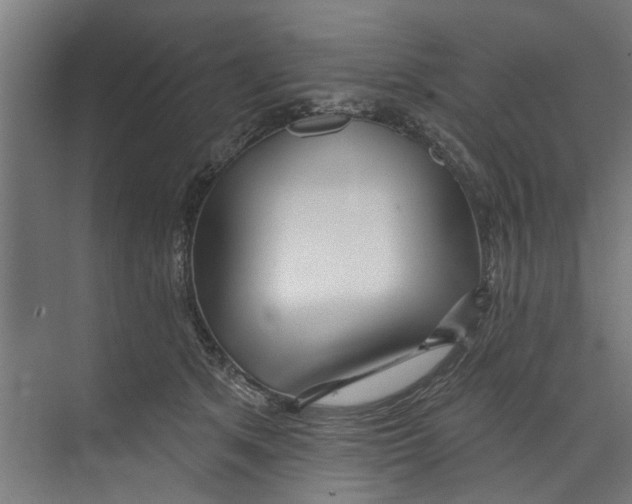 X0000073520513200608281736