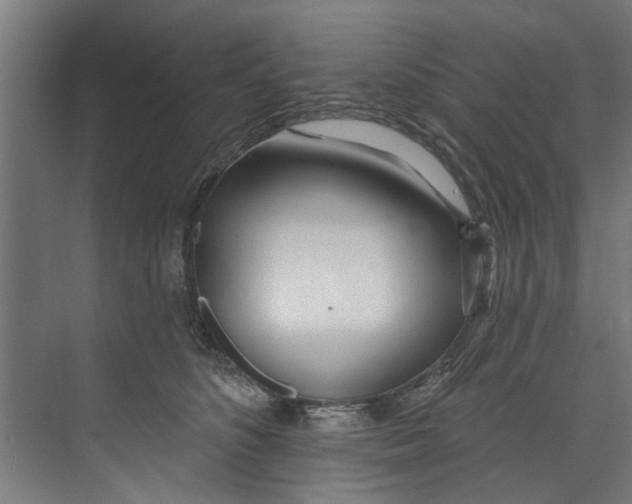 X0000073520516200608281736