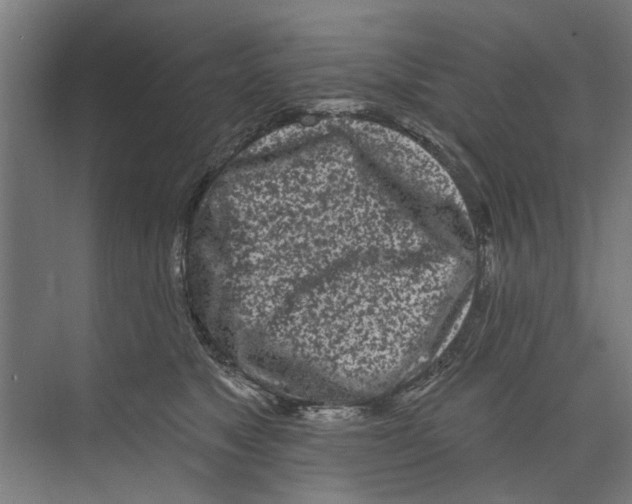 X0000073520517200608281736