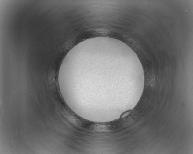 X0000073520518200608281736