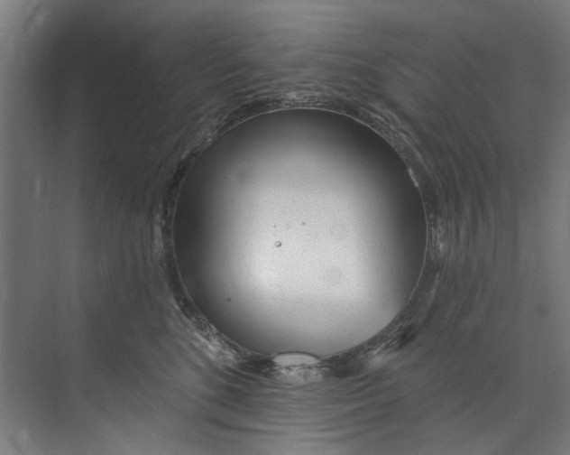 X0000073520520200608281736