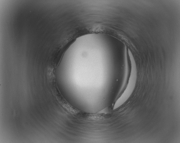 X0000073520521200608281736