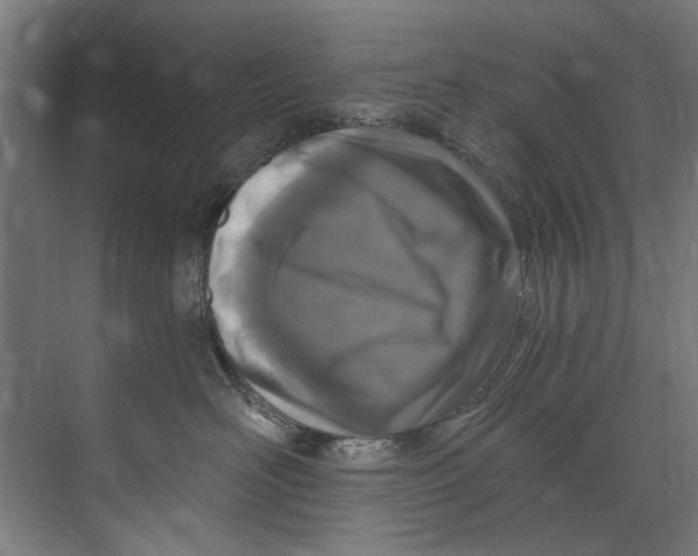 X0000073520526200608281736