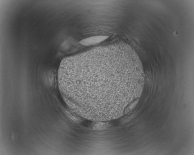 X0000073520527200608281736