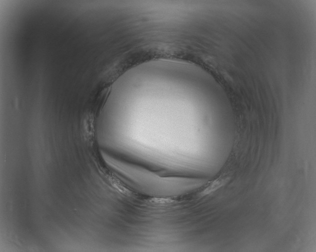 X0000073520528200608281736