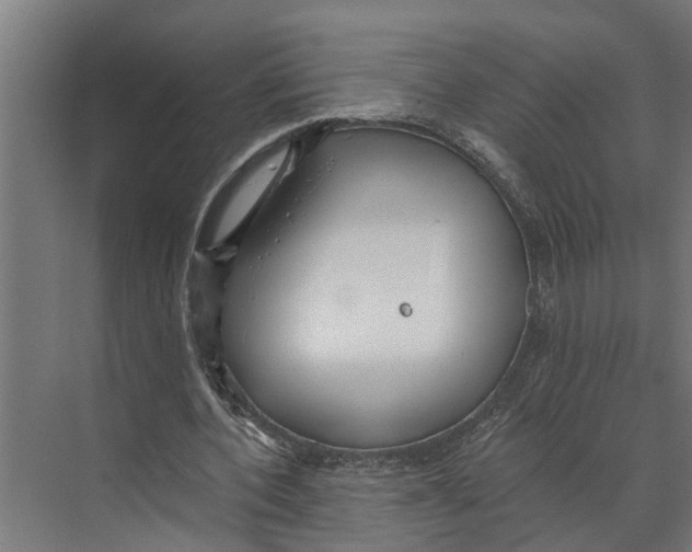 X0000073520532200608281735