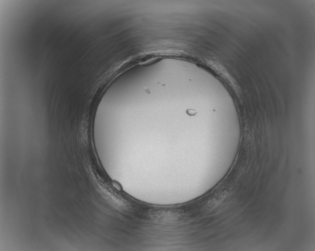 X0000073520533200608281735