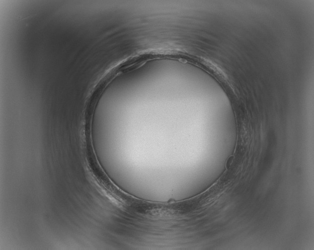 X0000073520535200608281735