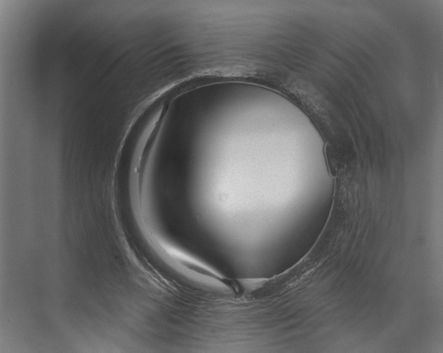 X0000073520536200608281735