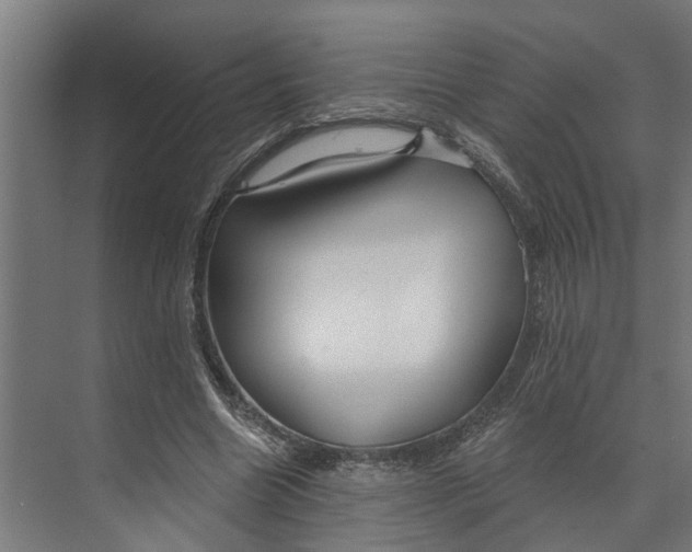 X0000073520538200608281736