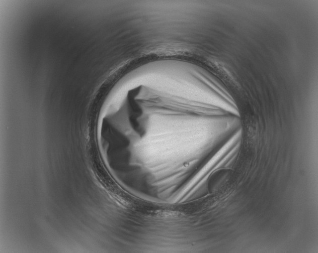 X0000073520539200608281736