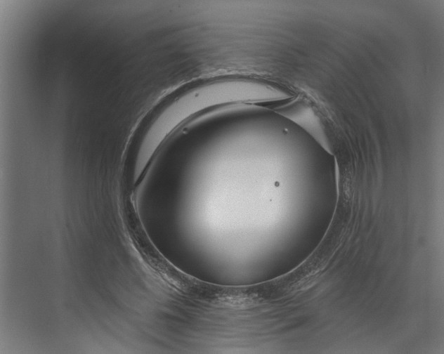 X0000073520540200608281736