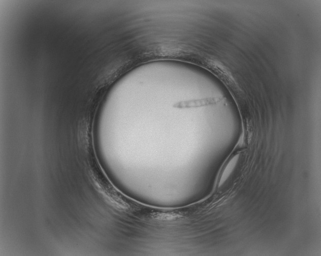 X0000073520542200608281736