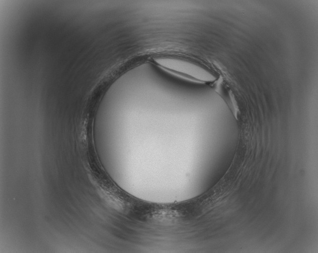 X0000073520543200608281736