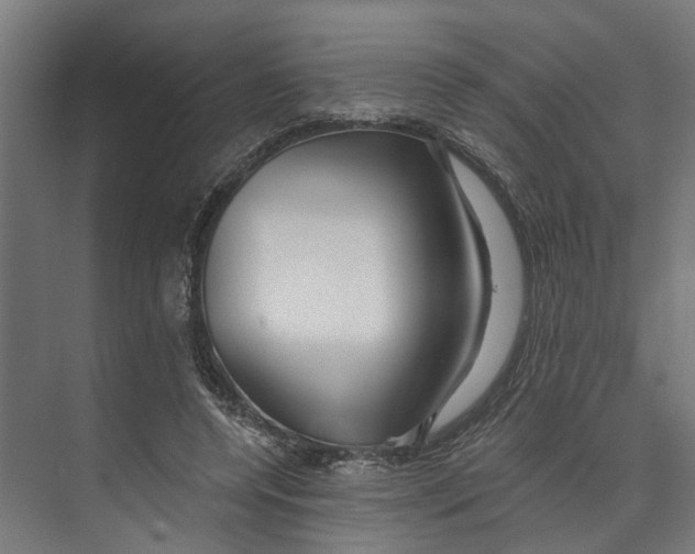 X0000073520544200608281736