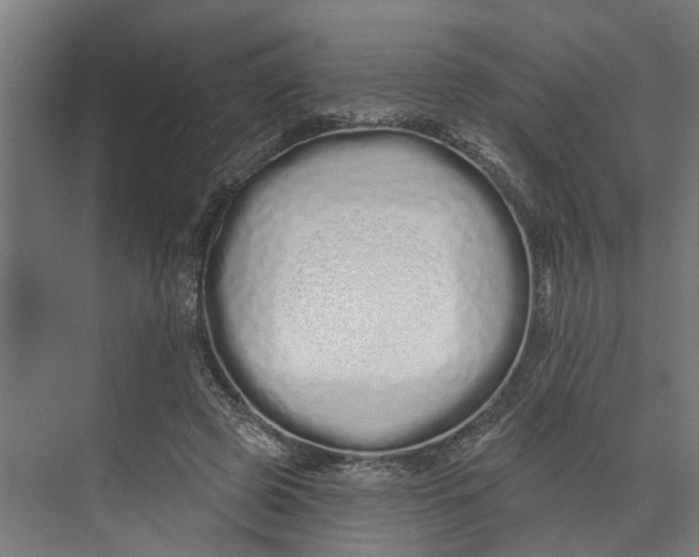 X0000073520545200608281736