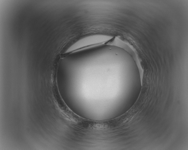 X0000073520546200608281736