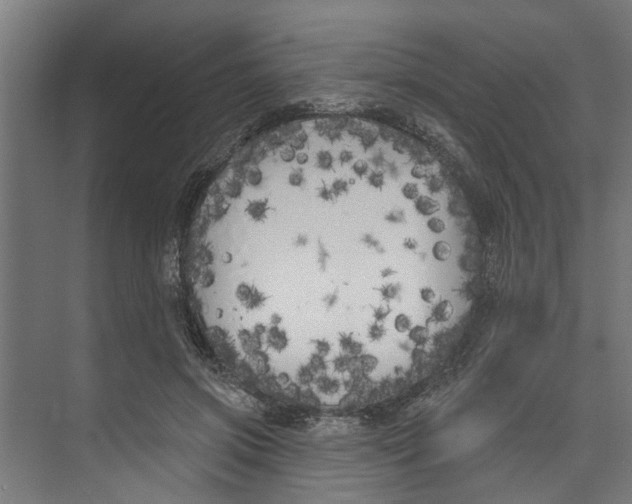 X0000073520549200608281736