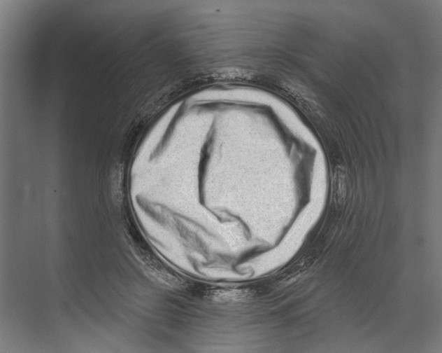 X0000073520550200608281736