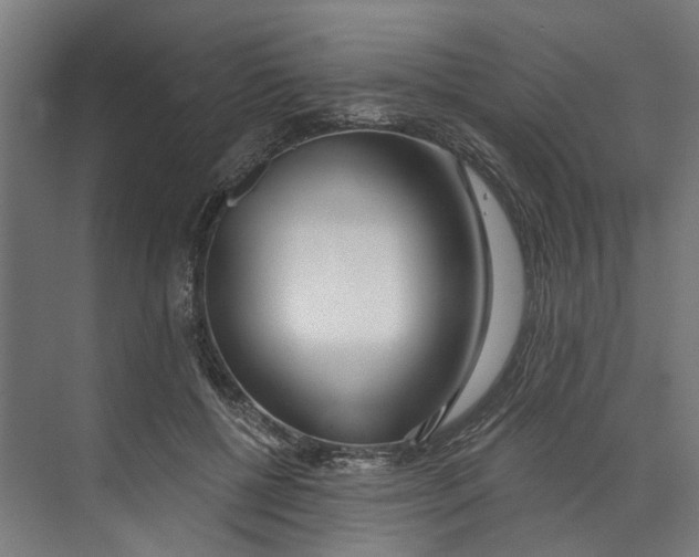 X0000073520552200608281736