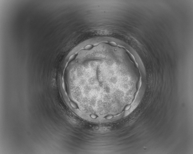 X0000073520553200608281736