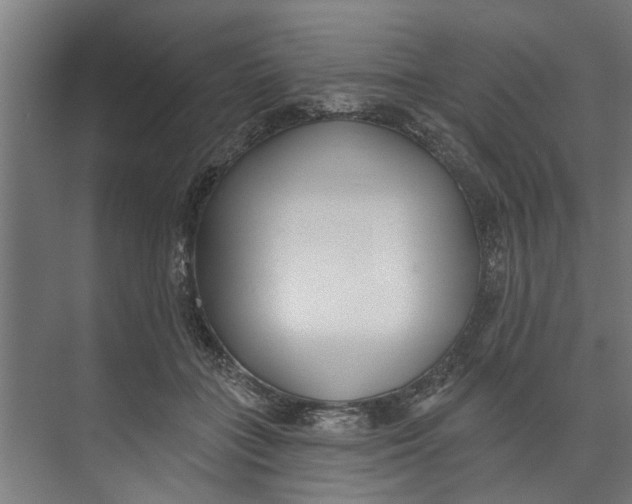 X0000073520555200608281736