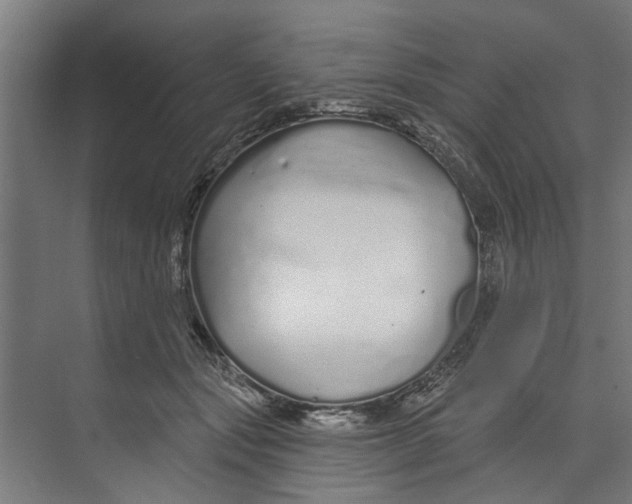 X0000073520557200608281736