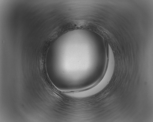 X0000073520558200608281736