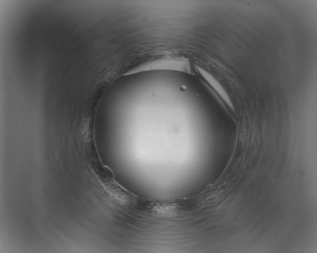 X0000073520560200608281736