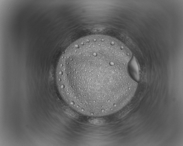 X0000073520561200608281736