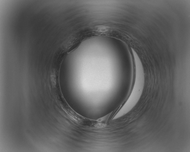 X0000073520562200608281736