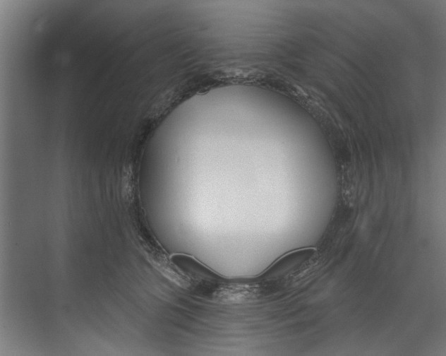 X0000073520563200608281736