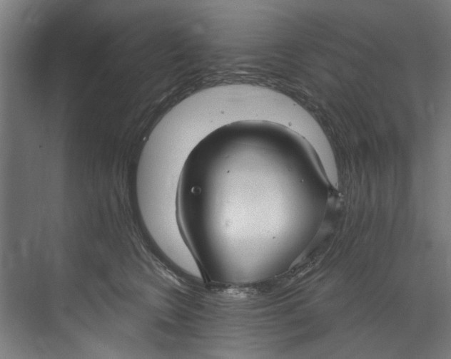 X0000073520566200608281736