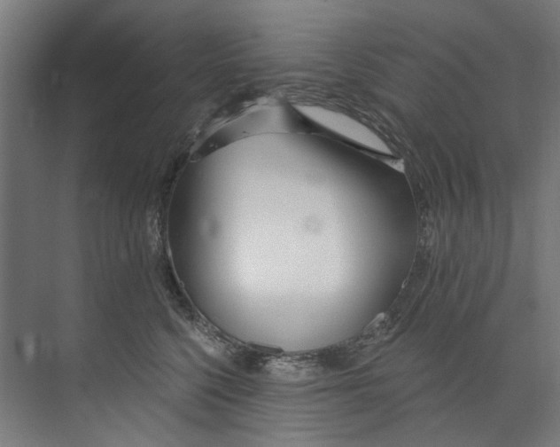 X0000073520568200608281736