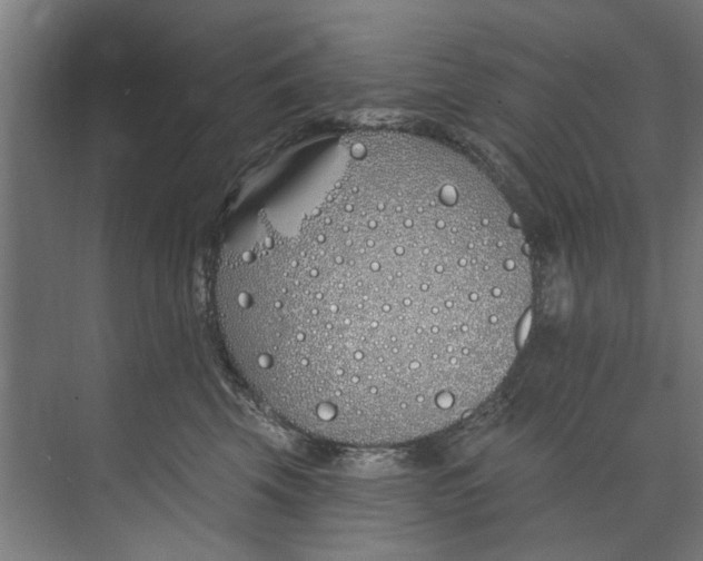 X0000073520569200608281736