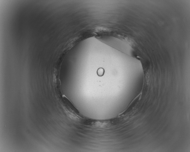 X0000073520570200608281736