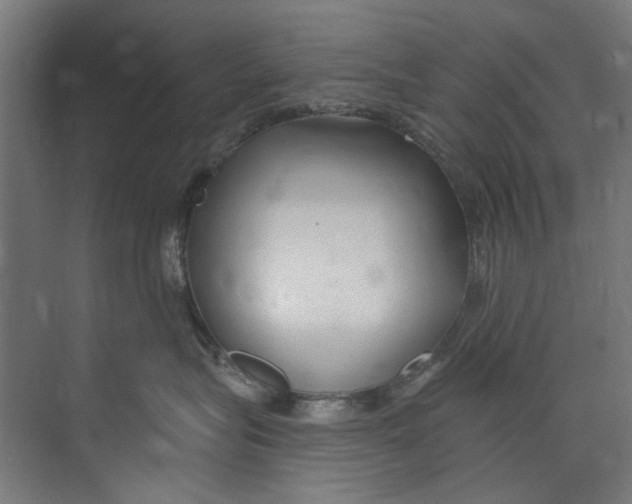 X0000073520575200608281736