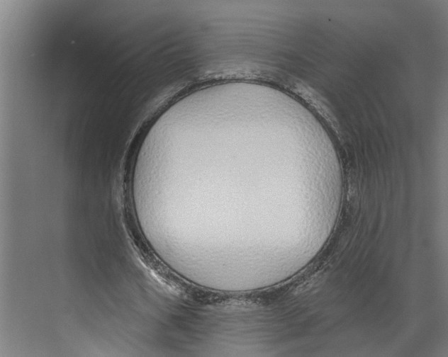 X0000073520578200608281735