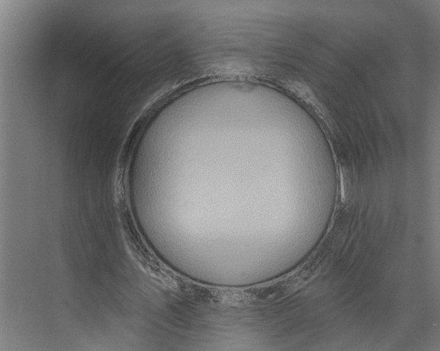 X0000073520579200608281735