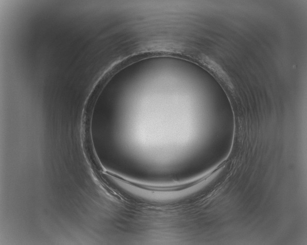 X0000073520580200608281735