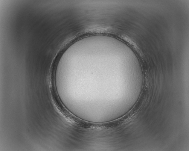 X0000073520582200608281735