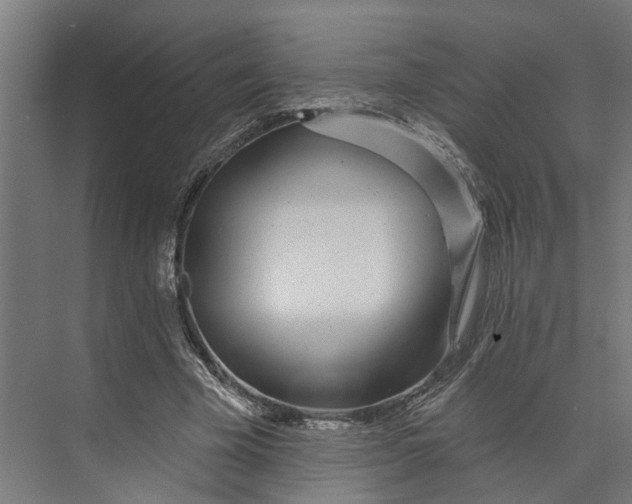 X0000073520585200608281735