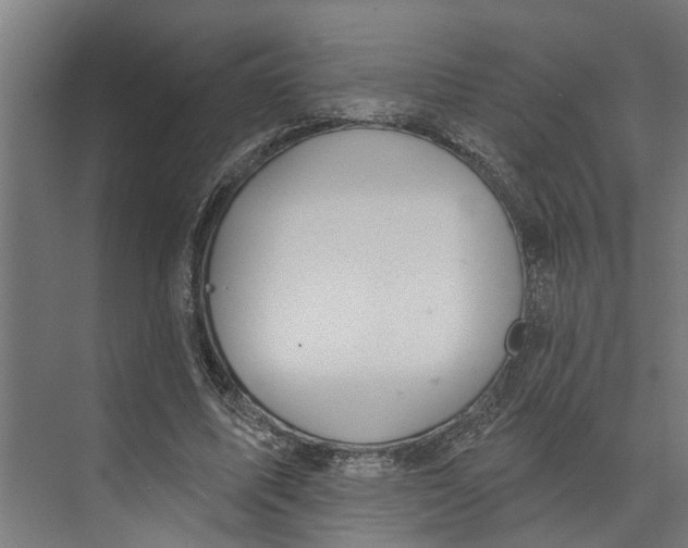 X0000073520587200608281735