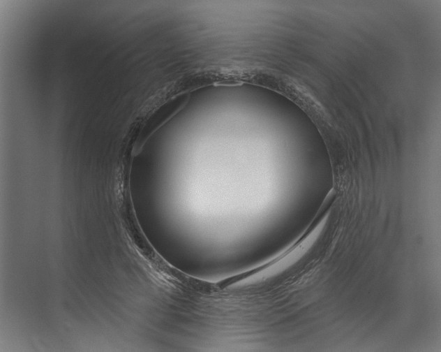 X0000073520593200608281735