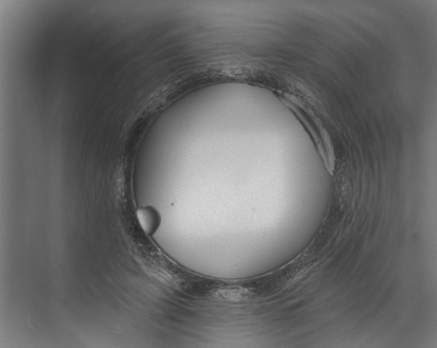 X0000073520595200608281735