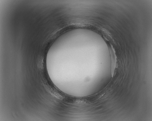 X0000073520596200608281735