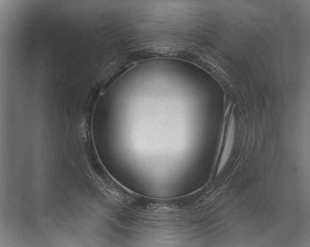 X0000073520597200608281735